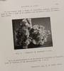 Notes du service g&eacute;ologique du Maroc - TOME 12 - Notes et m&eacute;moires n&deg;125. Collectif
