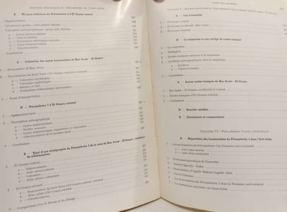 Histoire géologique du Précambrien de l'Anti-Atlas - TOME I - notes et mémoires du service géologique n°162