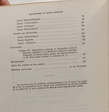 Rhynchonellidae Terebratulidae et Zeilleriidae du Dogger marocain (Moyen-Atlas septenttrioneal Hauts-Plateaux Haut-Atlas) - notes et mémoires du ...
