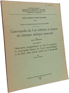 Gastéropodes du Lias inférieur et moyen du domaine atlasique marocain - notes et mémoires du serviec géologique n°196