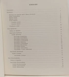 Rhynchonelloidea et Spiriferoidea siluro-dévoniens du Maroc pré-saharien - Notes et Memoires du Service Geologique 178