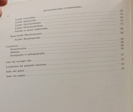 Rhynchonelloidea et Spiriferoidea siluro-dévoniens du Maroc pré-saharien - Notes et Memoires du Service Geologique 178. Jeannine Drot