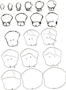 Rhynchonelloidea et Spiriferoidea siluro-dévoniens du Maroc pré-saharien - Notes et Memoires du Service Geologique 178
