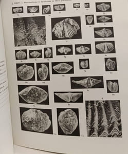 Rhynchonelloidea et Spiriferoidea siluro-dévoniens du Maroc pré-saharien - Notes et Memoires du Service Geologique 178