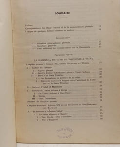 Reconnaissance géologique dans les Hammadas des confins algéro-marocains du Sud
