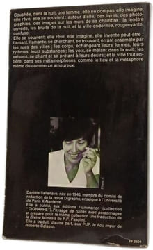 Le voyage d'Amsterdam ou les règles de la conversation. DANIELLE SALLENAVE