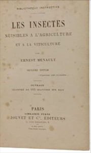 Les insectes nuisibles à l'agriculture et à la viticulture