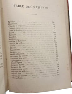 Les insectes nuisibles à l'agriculture et à la viticulture