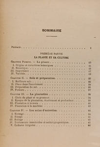La pomme de terre