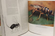Les insectes vivants du monde. ALEXANDER ET ELSIE B. KLOTS