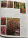 Encyclop&eacute;die universelle des 15000 plantes et fleurs de jardin de A &agrave; Z: 6000 photographies. Brickell Christopher  Collectif