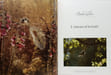 La for&ecirc;t des Ardennes - Coffret comprenant 4 livres reli&eacute;s : Promenades d'un naturaliste / L'oiseau et la for&ecirc;t / Le bois dans l'&eacute;conomie ...