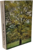 Les veines du temps - lectures de bois en Bourgogne. Lambert Maurice Guibal Pacaud Dutreix Trenard