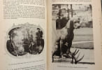 Guide de Fontainebleau myst&eacute;rieux. Alleau