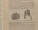 Apiculture moderne - 6e &eacute;d. 1903. A.-L. Cl&eacute;ment