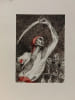 Les Barberousse : Corsaires et rois d'Alger. Albert-P. Prieur