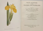 Wild Flowers of the Wayside and Woodland. T. H. Scott and W. J. Stokoe