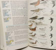 A Field Guide to the Birds + Birds of North america + The hamlin guide to birds of Britain and Europe + The birds of Britain and Europe --- 4 livres. ...