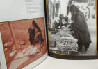 Abu Dhabi: A Collection of Mid-twentieth Century Photographs (Arabian Album). Roles Julia  Fairservice Ian  Codrai Ronald