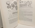 Fungi Agaricini Novazelandiae I-V / Heft 43. Egon Horak