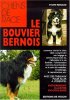Le Bouvier bernois. Sylvie Renaud