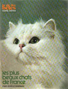 Les plus beaux chats de France