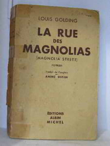 La rue des magnolias