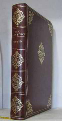 Lauzun un Courtisan du Grand Roi