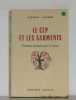 Le cep et les serments entretiens spirituels pour les jeunes. Tilmann Clément