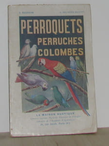 Perroquets perruches colombes
