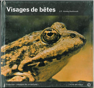 Visages de bêtes