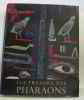 Les trésors des pharaons les hautes époques le nouvel empire les bases époques. Yoyotte Jean