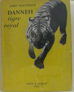 Danneh tigre royal