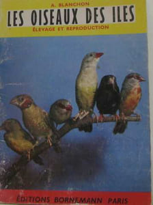 Les oiseaux des iles