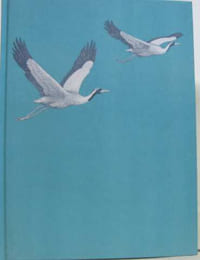 La passion des oiseaux