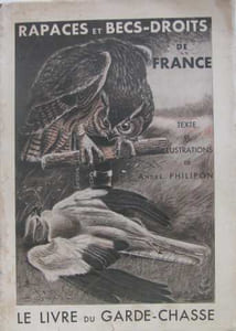 Rapaces et becs-droits de france