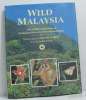 Wild malaysia. Payne Junaidi