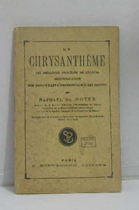 Culture du chrysanthème