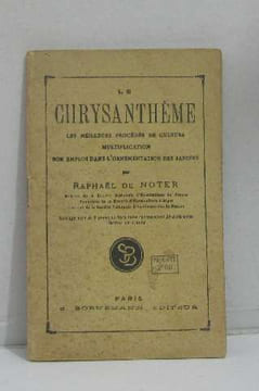 Culture du chrysanthème. De Noter Raphaël