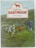 Exploring Dartmoor. Starky