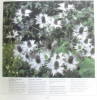 La tapisserie verte. Chatto