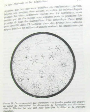 L'océan le point des connaissances océanographiques. Ericson Wollin