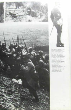 La grande guerre 1914-1918. Shermer David