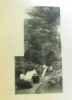 L'art public n&deg;III & IV bruxelles 1908. Collectif
