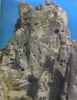 Cappadoce. Cimok
