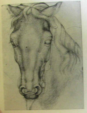 Animaux Par M. de Buffon. Illustré de dessins anciens. Buffon