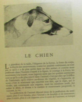 Animaux Par M. de Buffon. Illustré de dessins anciens. Buffon