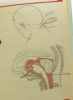 Nouvel atlas midy d'injections et de techniques medicles pratiques. Collectif