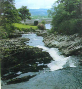 Le Grand Livre du saumon