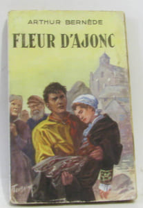 Fleur d'ajonc
